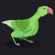 ビャードのヒナ